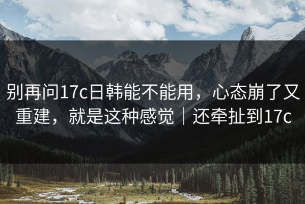 别再问17c日韩能不能用，心态崩了又重建，就是这种感觉｜还牵扯到17c