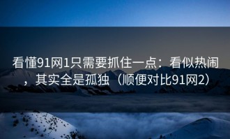 看懂91网1只需要抓住一点：看似热闹，其实全是孤独（顺便对比91网2）