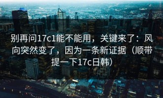 别再问17c1能不能用，关键来了：风向突然变了，因为一条新证据（顺带提一下17c日韩）