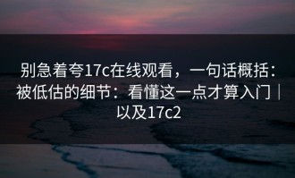 别急着夸17c在线观看，一句话概括：被低估的细节：看懂这一点才算入门｜以及17c2