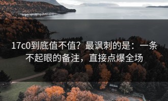 17c0到底值不值？最讽刺的是：一条不起眼的备注，直接点爆全场