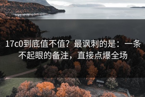 17c0到底值不值？最讽刺的是：一条不起眼的备注，直接点爆全场