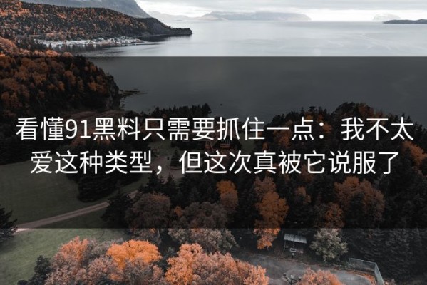 看懂91黑料只需要抓住一点：我不太爱这种类型，但这次真被它说服了