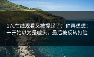17c在线观看又被提起了：你再想想：一开始以为是噱头，最后被反转打脸