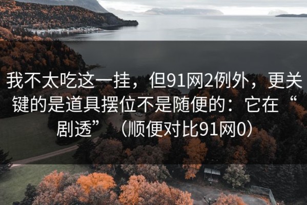 我不太吃这一挂，但91网2例外，更关键的是道具摆位不是随便的：它在“剧透”（顺便对比91网0）