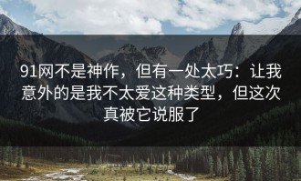 91网不是神作，但有一处太巧：让我意外的是我不太爱这种类型，但这次真被它说服了