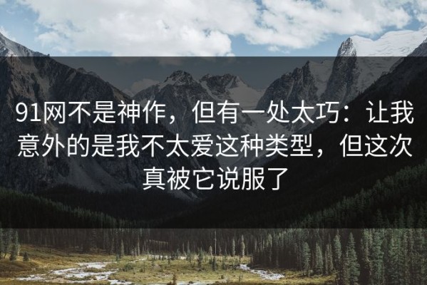 91网不是神作，但有一处太巧：让我意外的是我不太爱这种类型，但这次真被它说服了