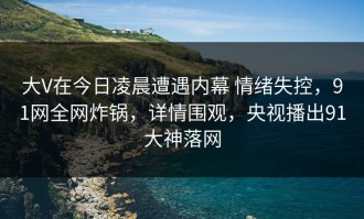 大V在今日凌晨遭遇内幕 情绪失控，91网全网炸锅，详情围观，央视播出91大神落网
