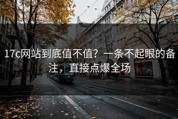 17c网站到底值不值？一条不起眼的备注，直接点爆全场