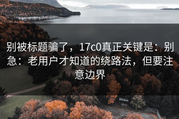 别被标题骗了，17c0真正关键是：别急：老用户才知道的绕路法，但要注意边界