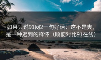 如果只说91网2一句好话：这不是爽，是一种迟到的释怀（顺便对比91在线）