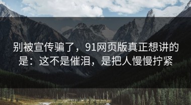 别被宣传骗了，91网页版真正想讲的是：这不是催泪，是把人慢慢拧紧