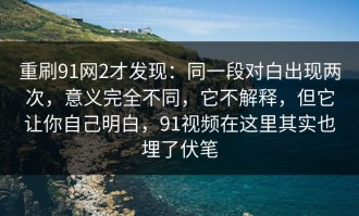 重刷91网2才发现：同一段对白出现两次，意义完全不同，它不解释，但它让你自己明白，91视频在这里其实也埋了伏笔