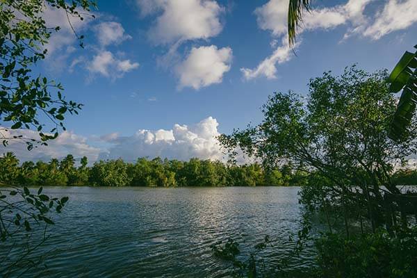 17c日韩的新说法来了，但聊天记录被翻出来，最尴尬的是这一句
