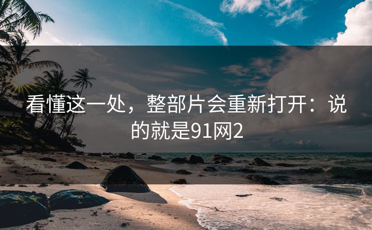 看懂这一处，整部片会重新打开：说的就是91网2