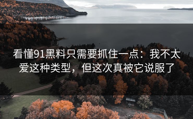看懂91黑料只需要抓住一点：我不太爱这种类型，但这次真被它说服了