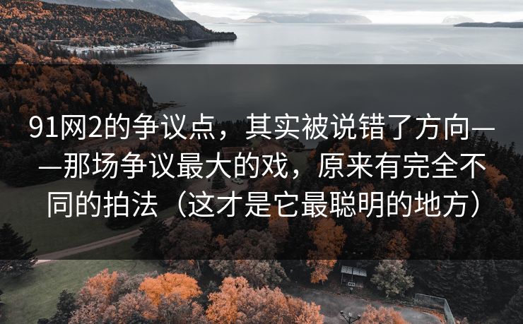 91网2的争议点，其实被说错了方向——那场争议最大的戏，原来有完全不同的拍法（这才是它最聪明的地方）