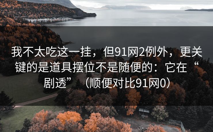 我不太吃这一挂，但91网2例外，更关键的是道具摆位不是随便的：它在“剧透”（顺便对比91网0）