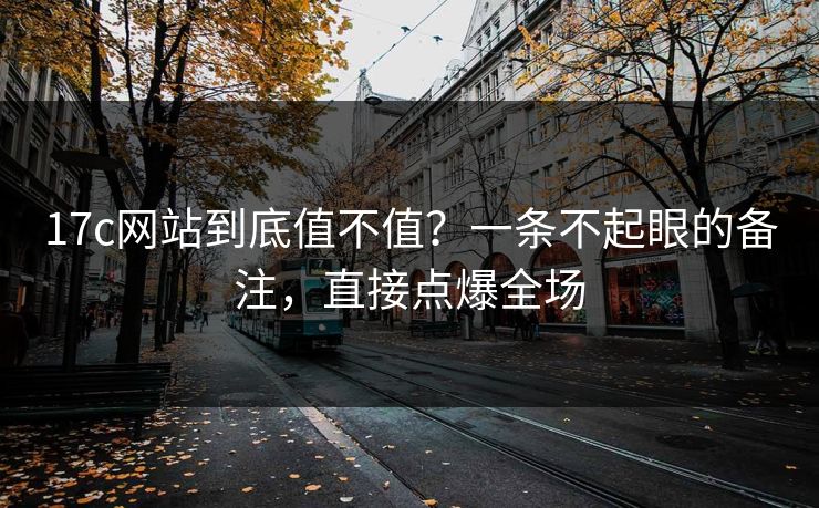17c网站到底值不值？一条不起眼的备注，直接点爆全场